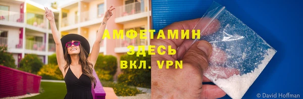 гидра Балахна