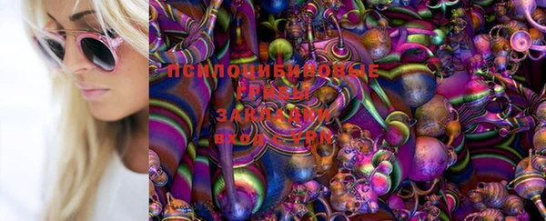 соль ск Баксан