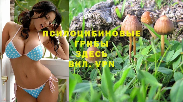 соль ск Балабаново