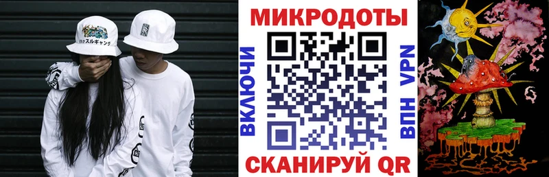 где купить наркоту  Красный Холм  Галлюциногенные грибы Psilocybe 
